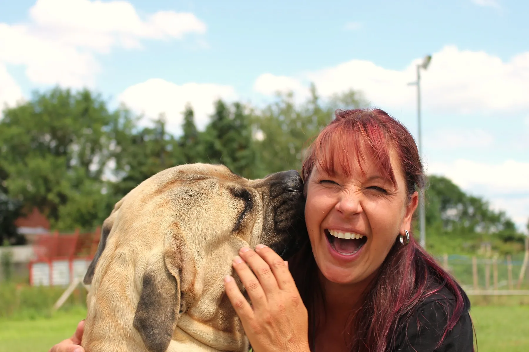 Angie lacht, während ihr Mastiff ihr die Wange leckt – auf dem Trainingsgelände