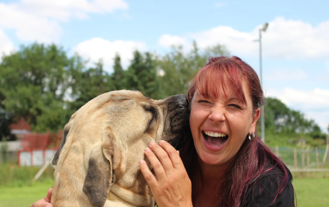 Angie lacht herzlich auf der Wiese, während ihr heller Mastiff ihr die Wange leckt