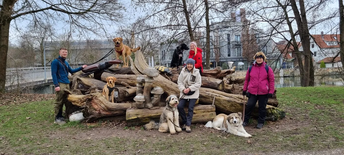 Gruppe mit ihren Hunden beim Stadttraining in Bietigheim, auf einem Baumstamm-Arrangement am Wasser